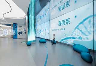 南京到福塔莱萨国际物流巴西专线海运费报价