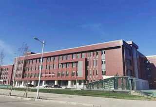 盐城现货链轮厂家