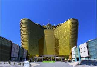 河源公司审计服务师